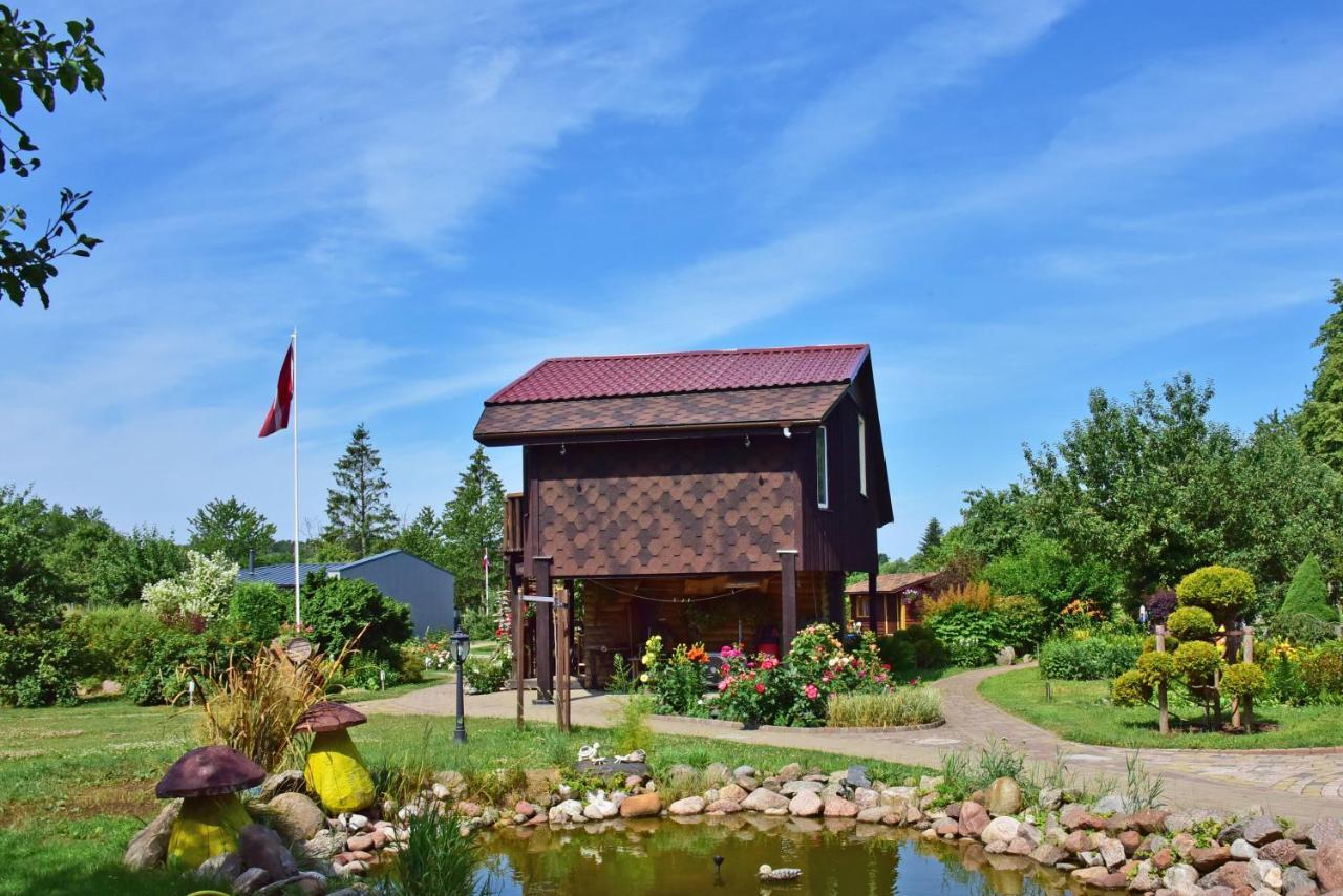Camping Lielas Spares Pāvilosta